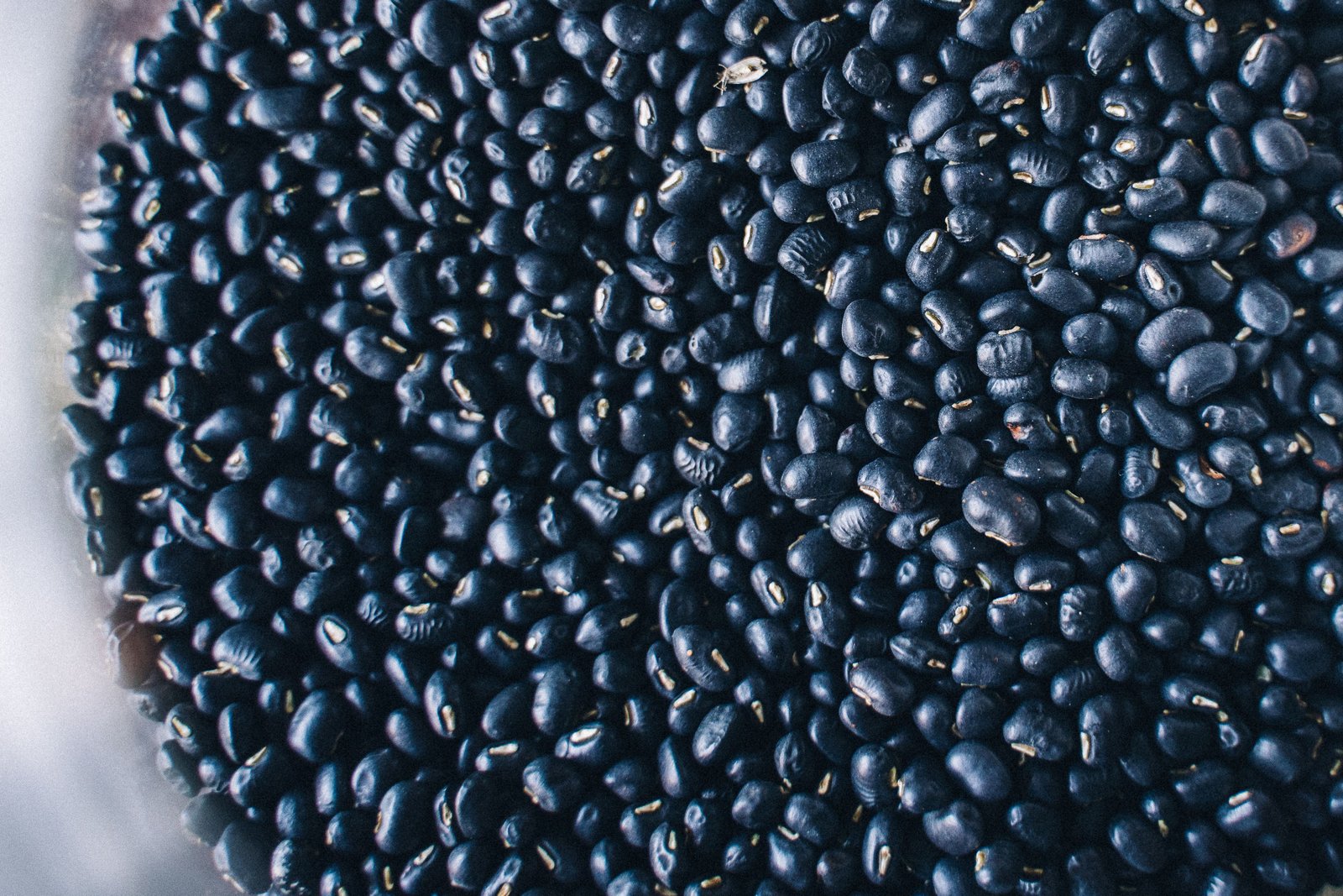 Black Gram