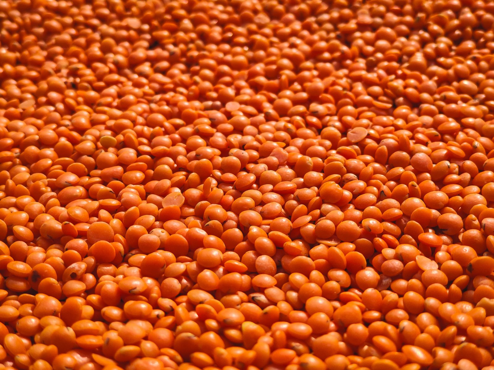 Masoor Dal