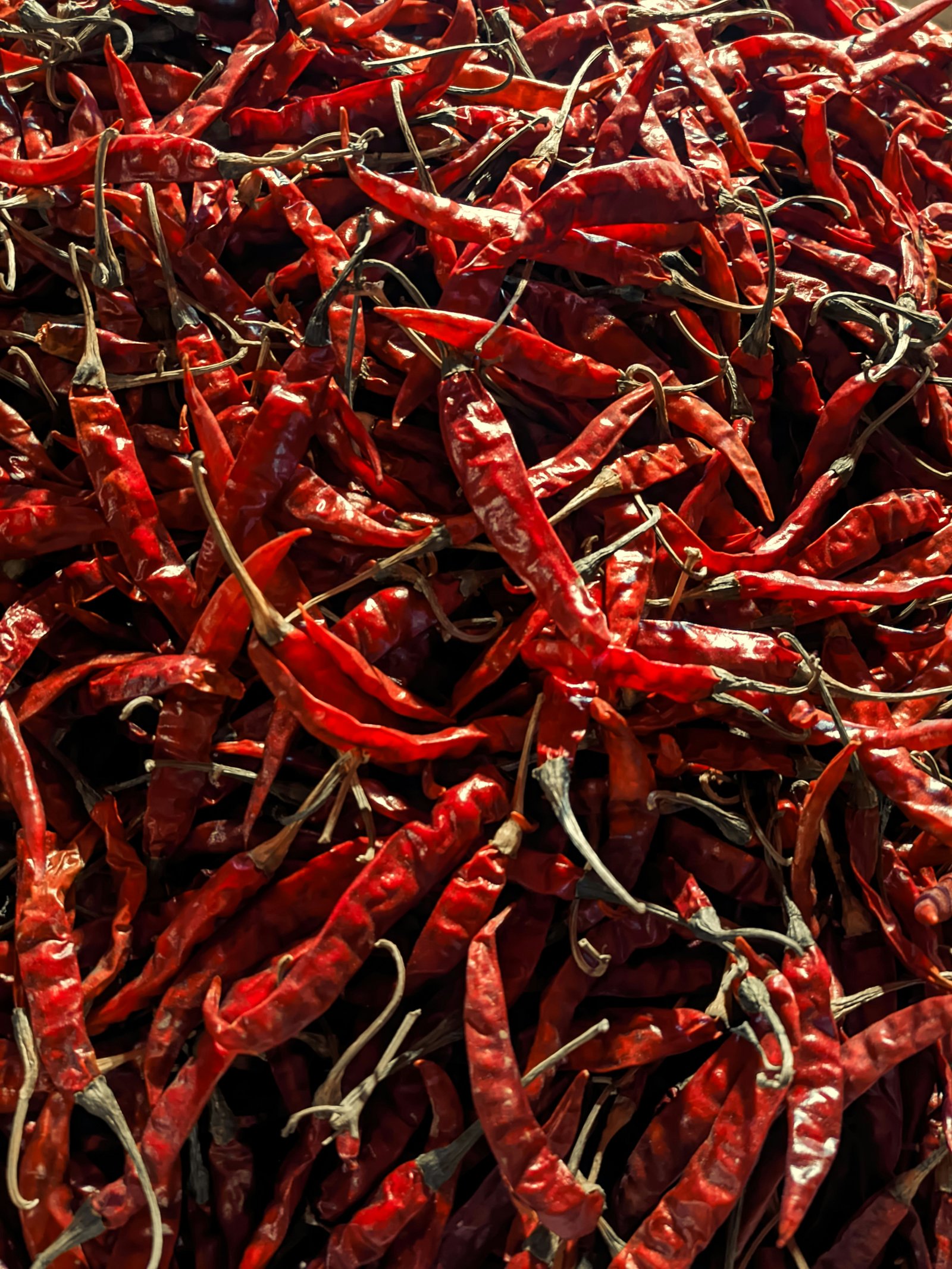 Dry Red Chilli