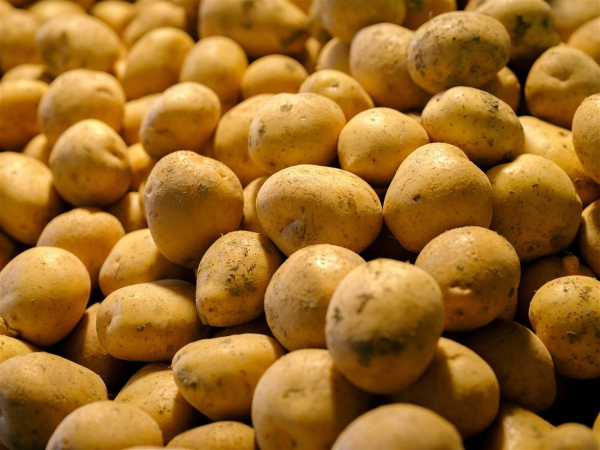 Potato